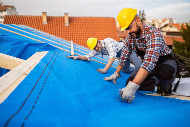 Best Roof Ventilation Installation  in Ecorse, MI
