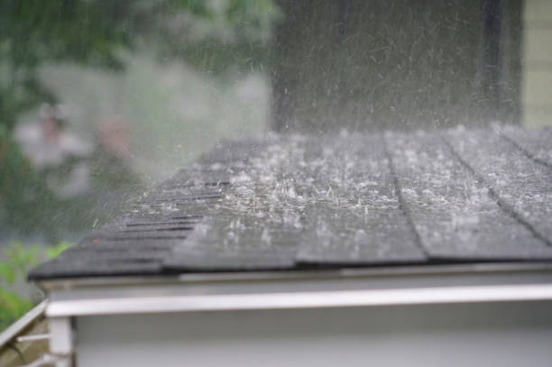 Best Roof Coating and Sealing  in Ecorse, MI