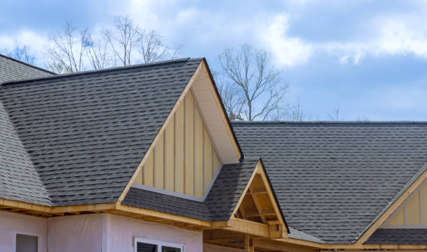 Best Roof Maintenance and Cleaning  in Ecorse, MI