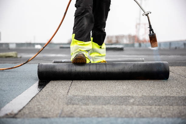 Best Roofing for New Construction  in Ecorse, MI