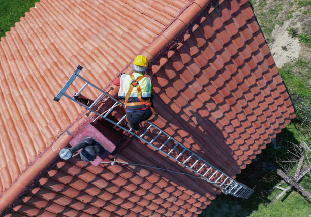 Best Solar Panel Roofing Installation  in Ecorse, MI